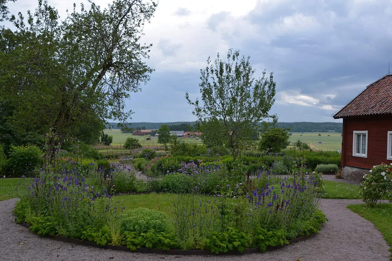 Linnaeus's Hammarby