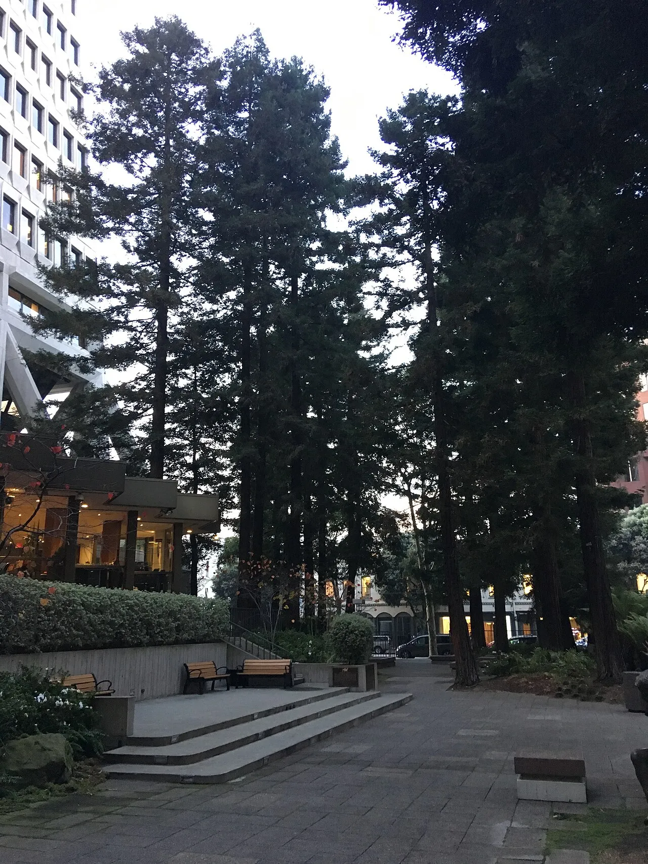 Transamerica Redwood Park