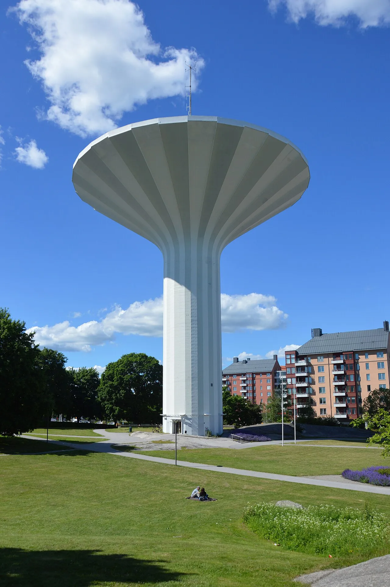 The Mushroom