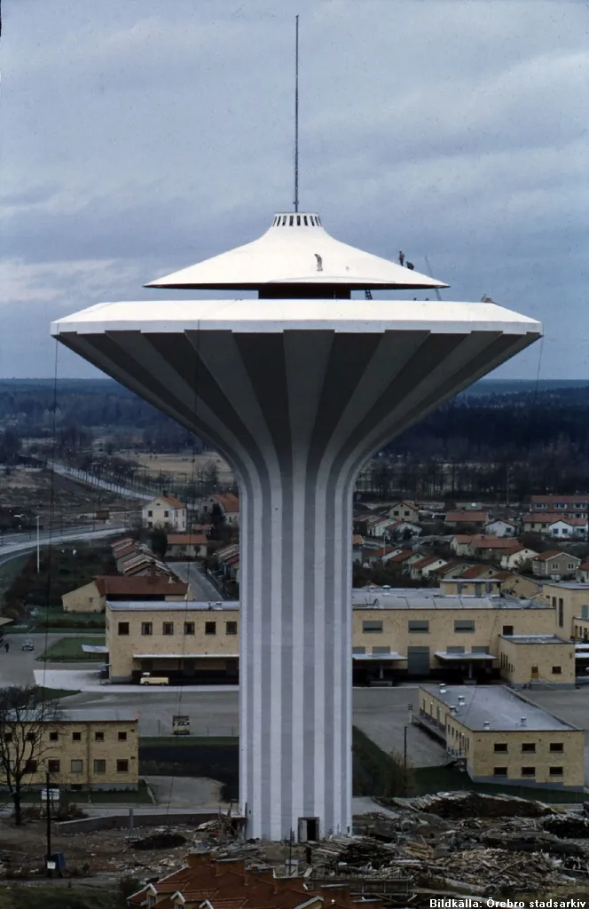 The Mushroom