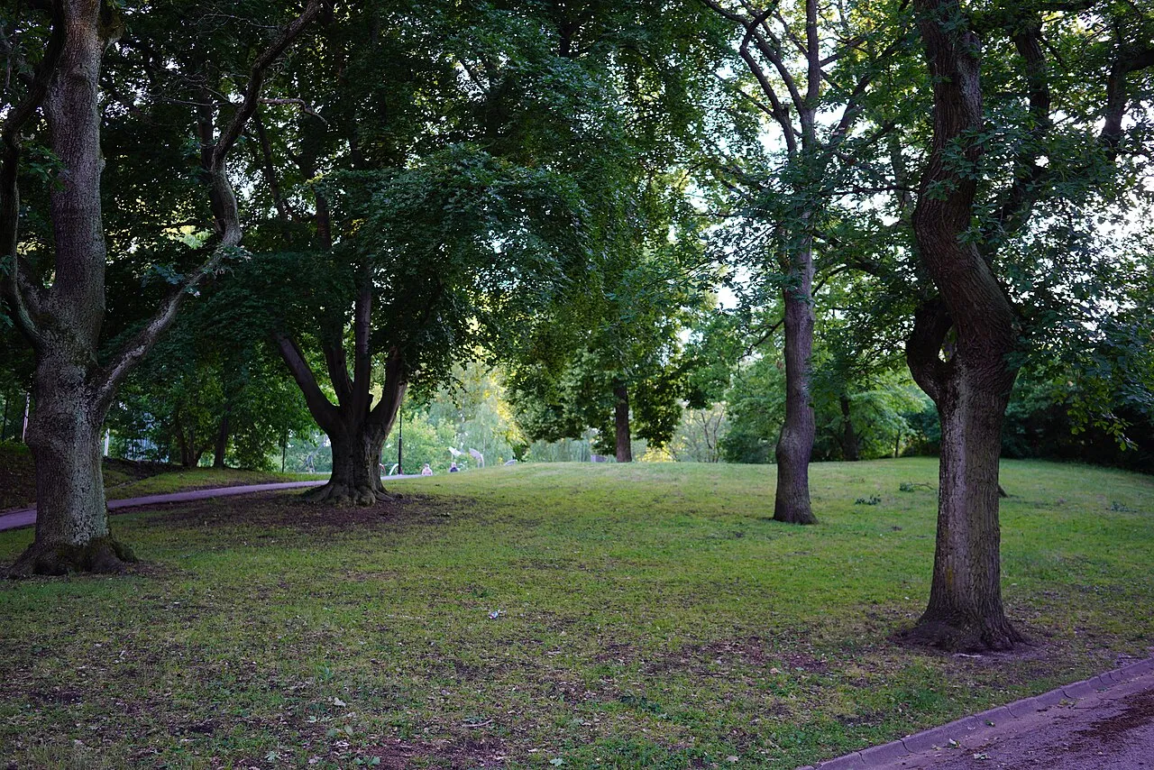 Kronobergsparken