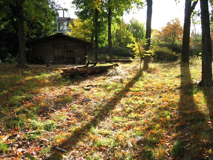 Skogsarbetarkojan