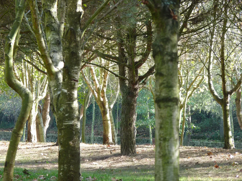 Porto City Park