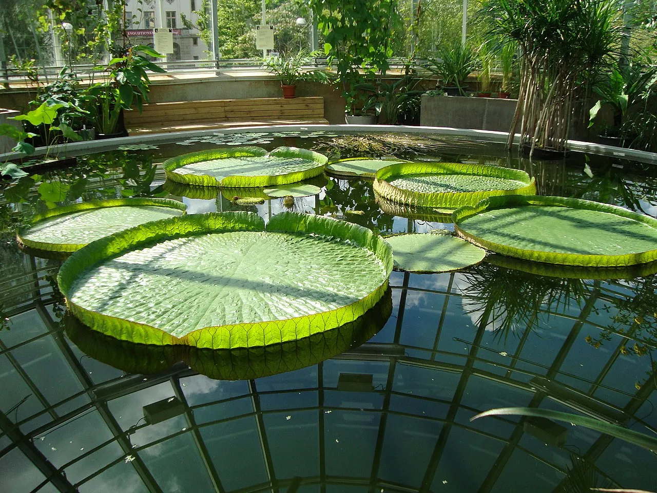 Uppsala University Botanical Garden