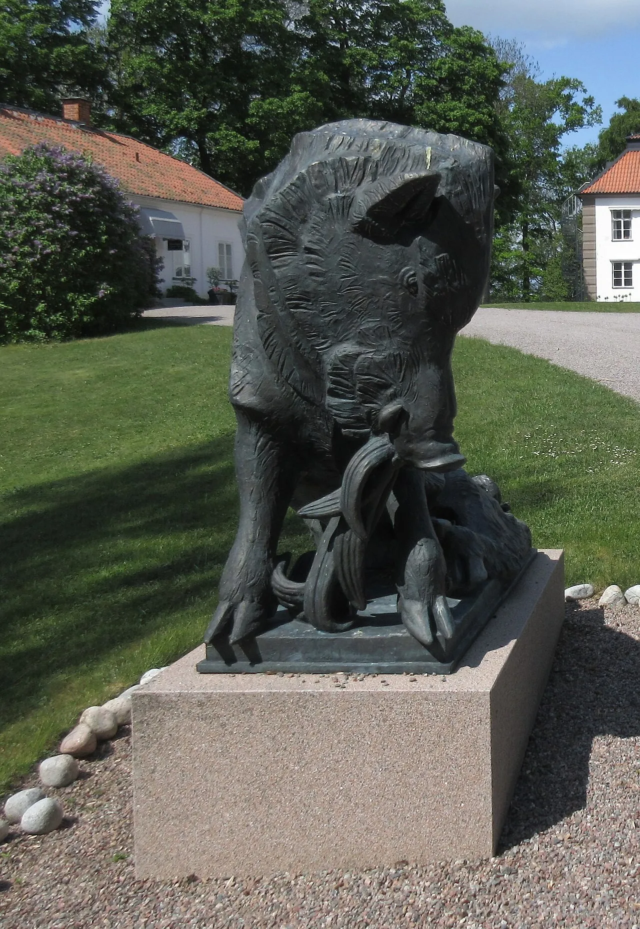 Två vildsvin