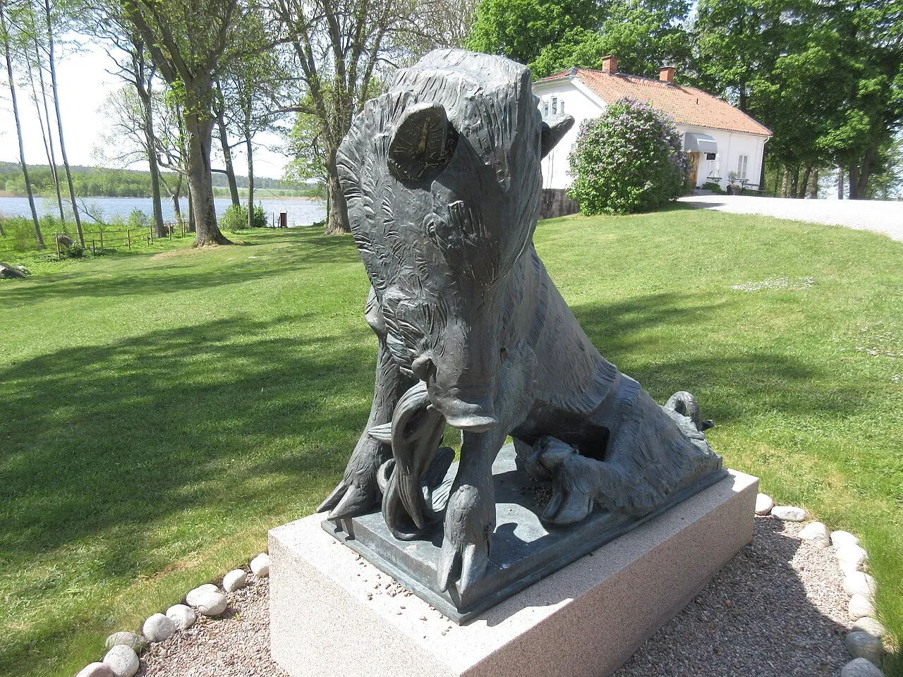 Två vildsvin