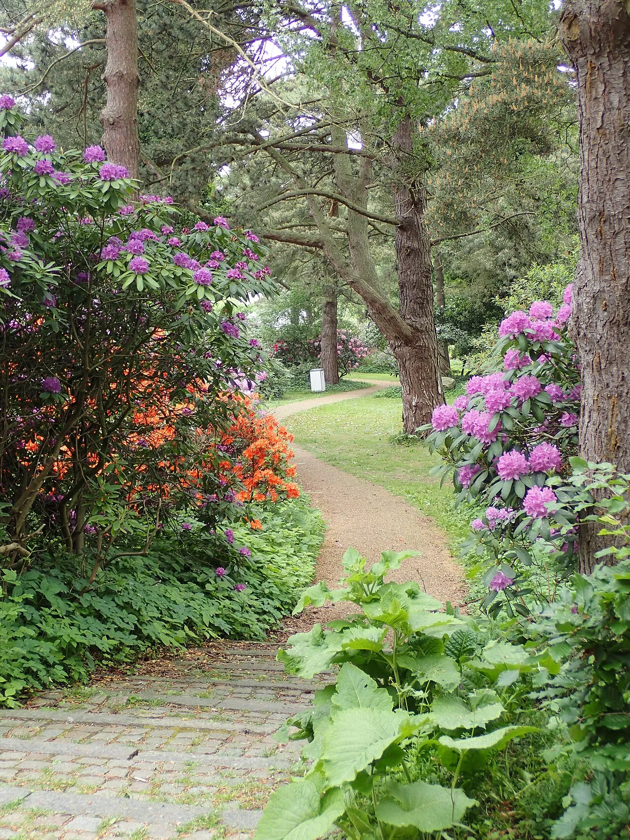 Marselisborg Memorial Park