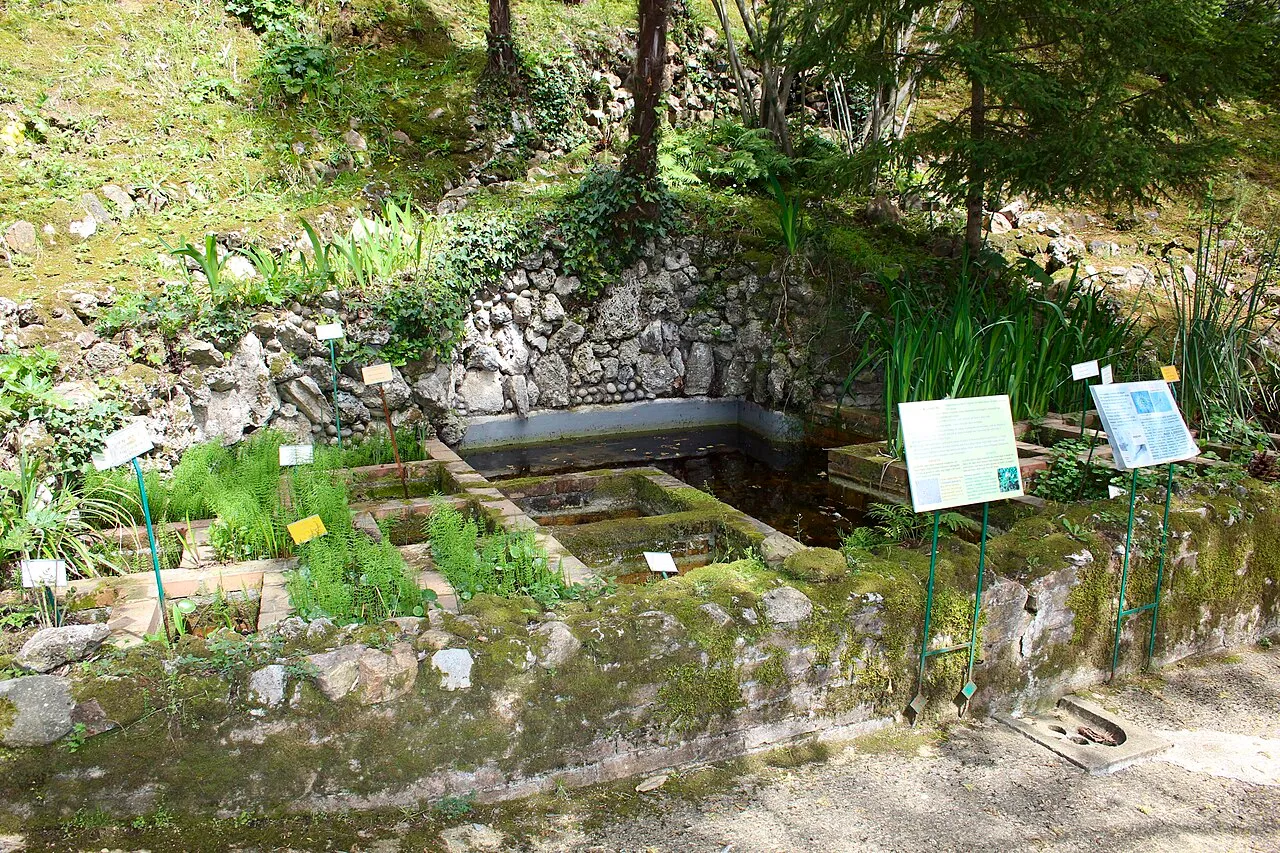 Orto Botanico dell'Università di Siena