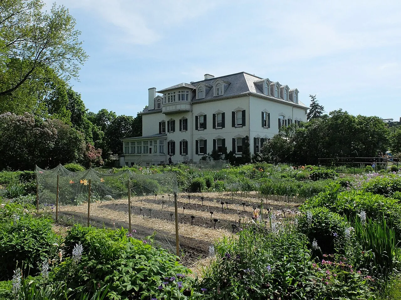 Spadina Museum