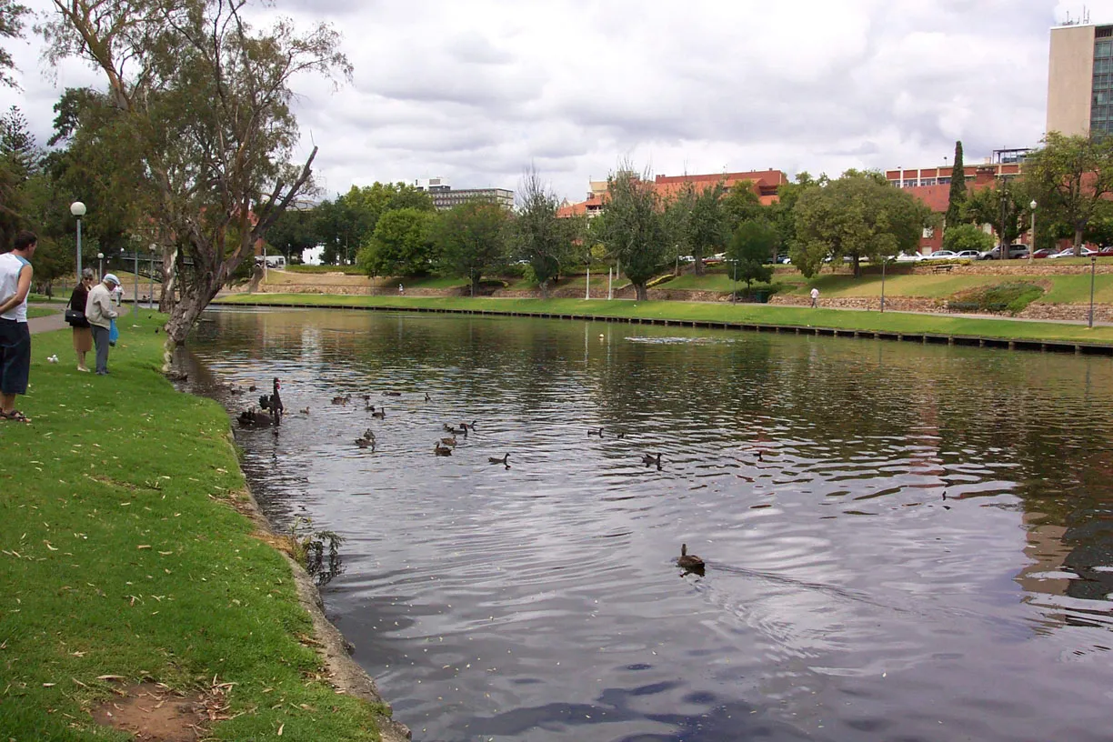 Torrens River / Elder Park