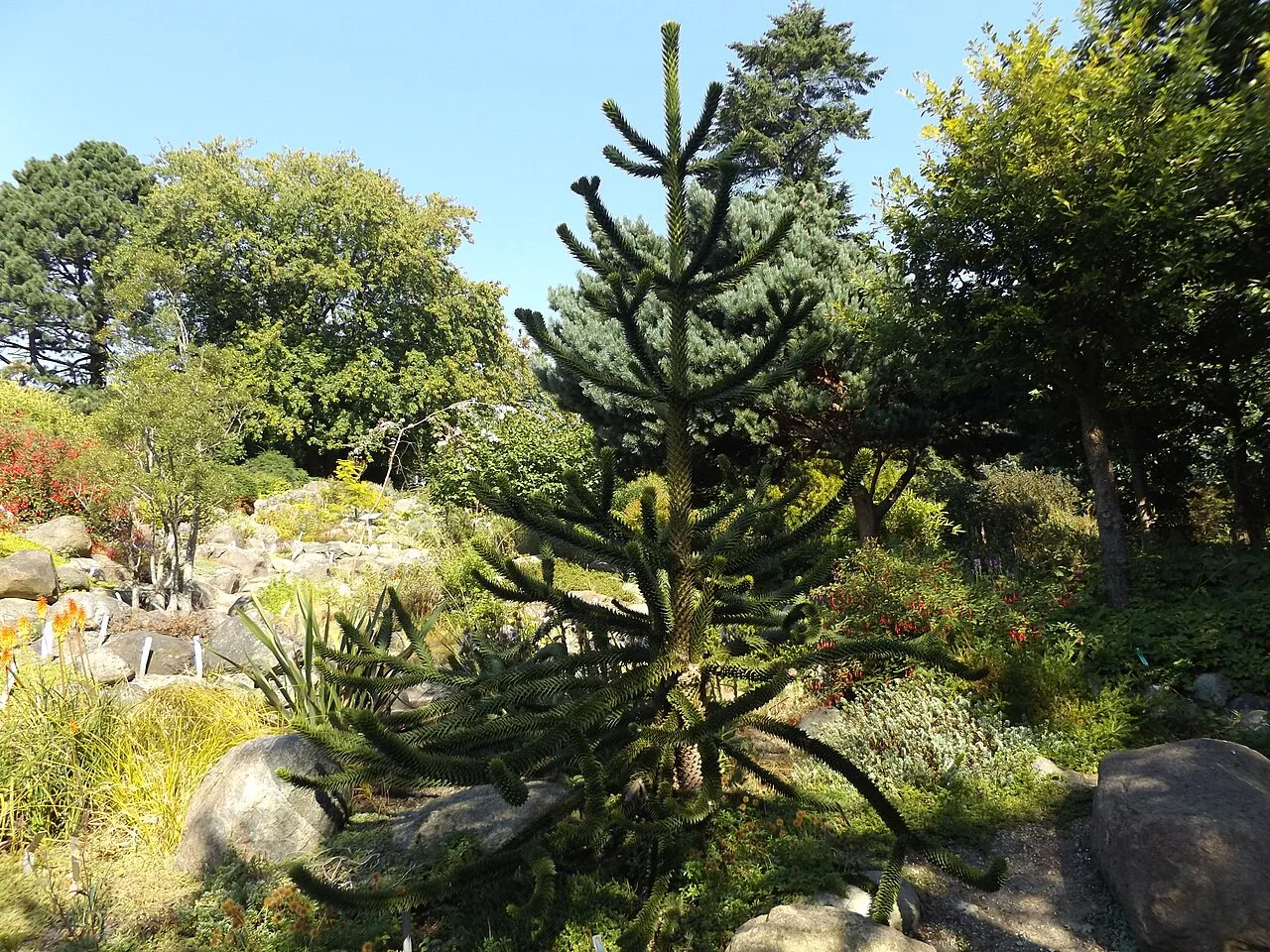 Aarhus Botanical Garden