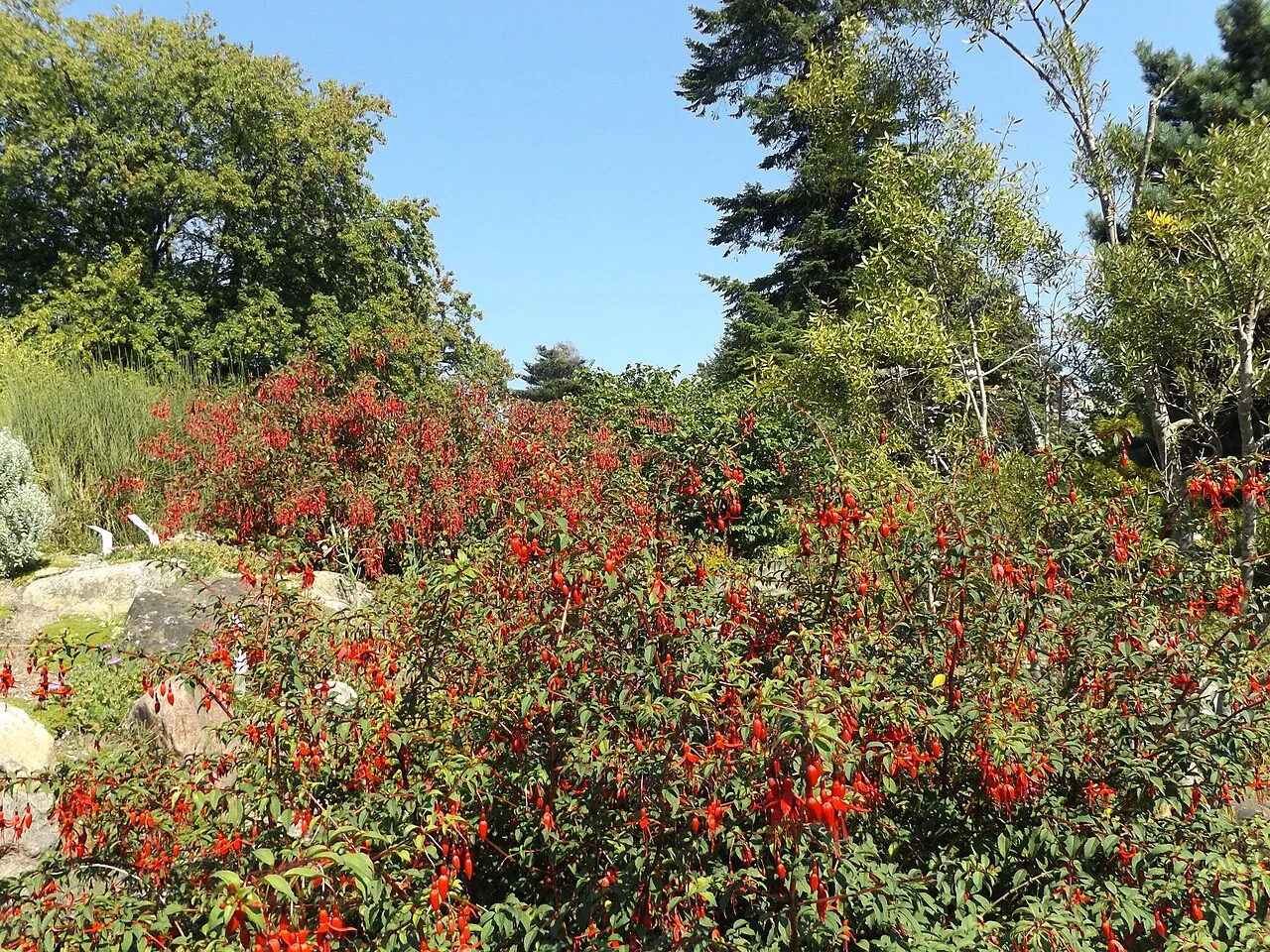 Aarhus Botanical Garden