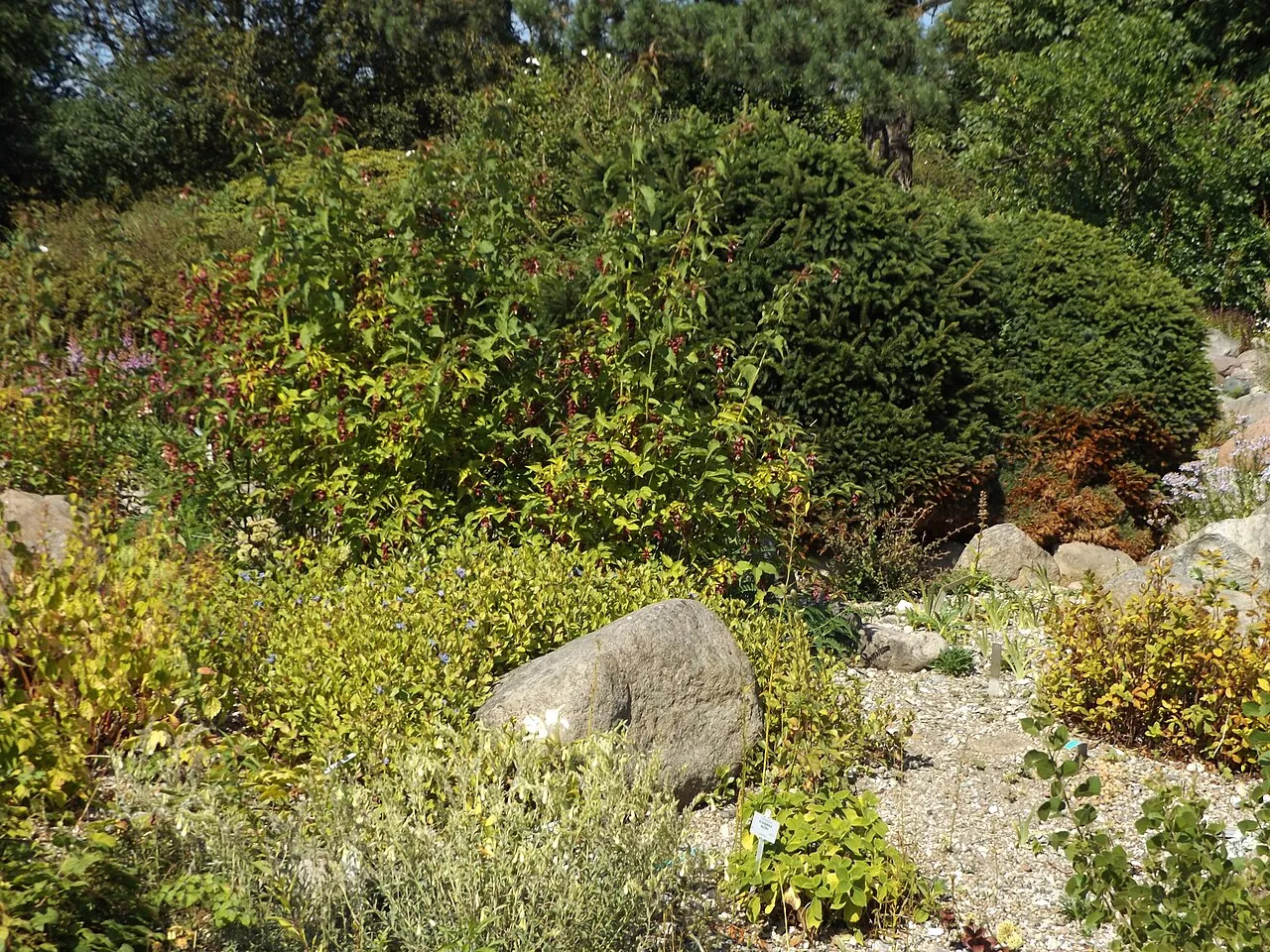 Aarhus Botanical Garden
