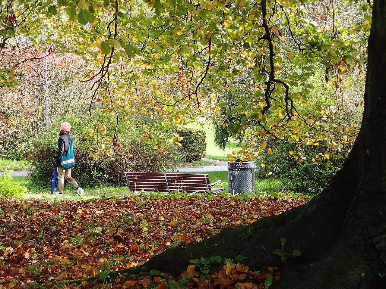 Aarhus Botanical Garden