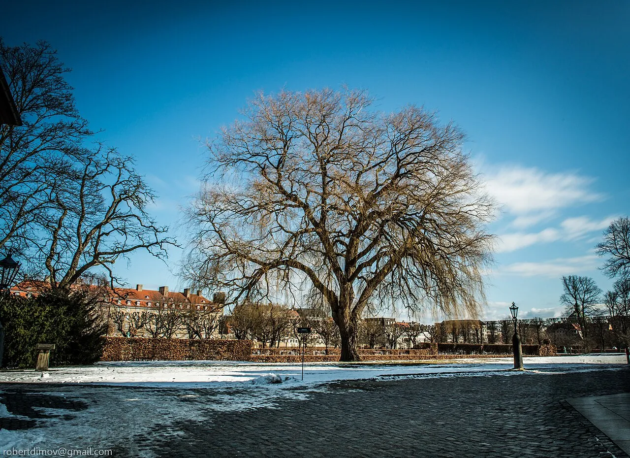 King's Garden