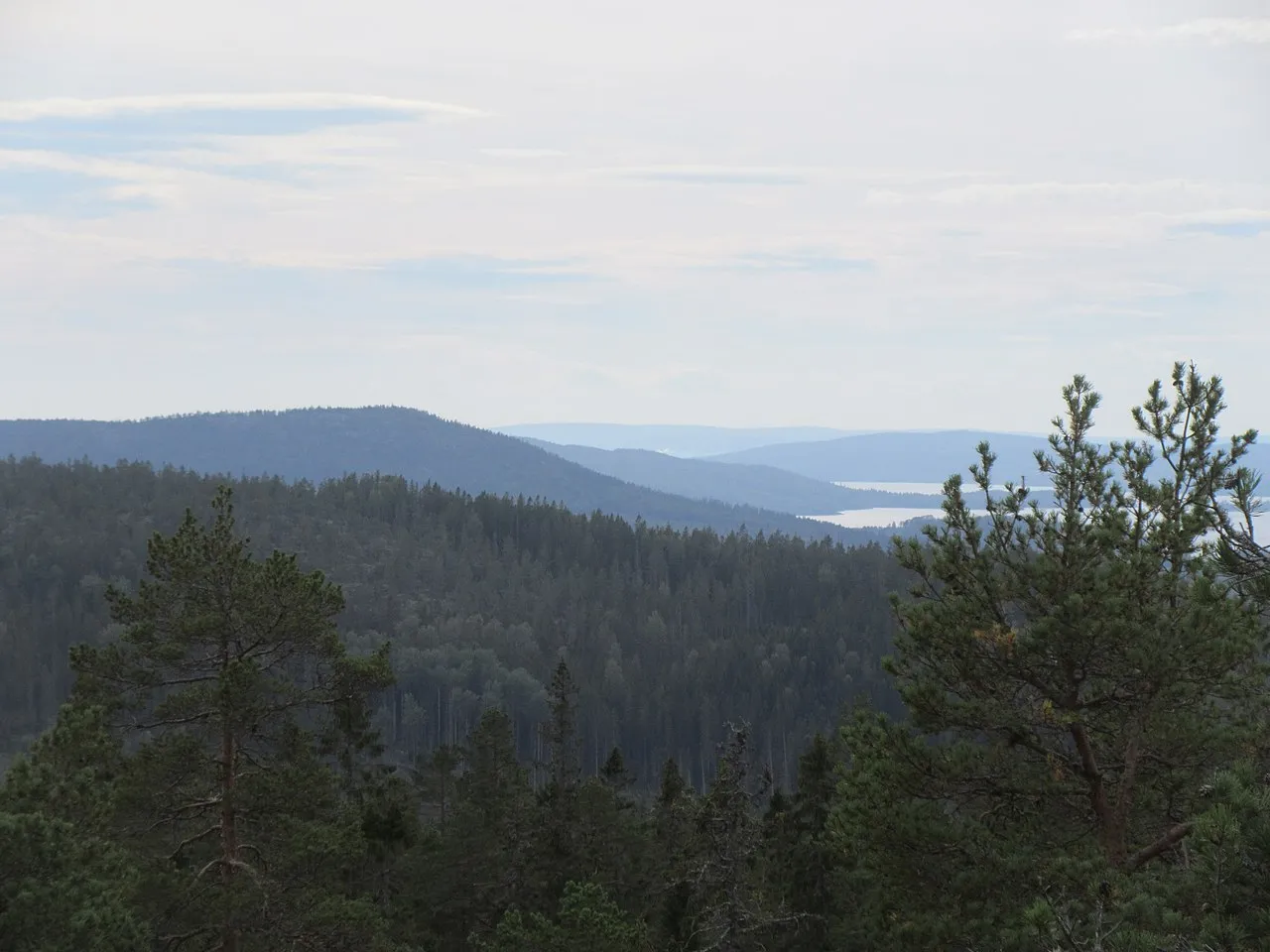 Höga kusten