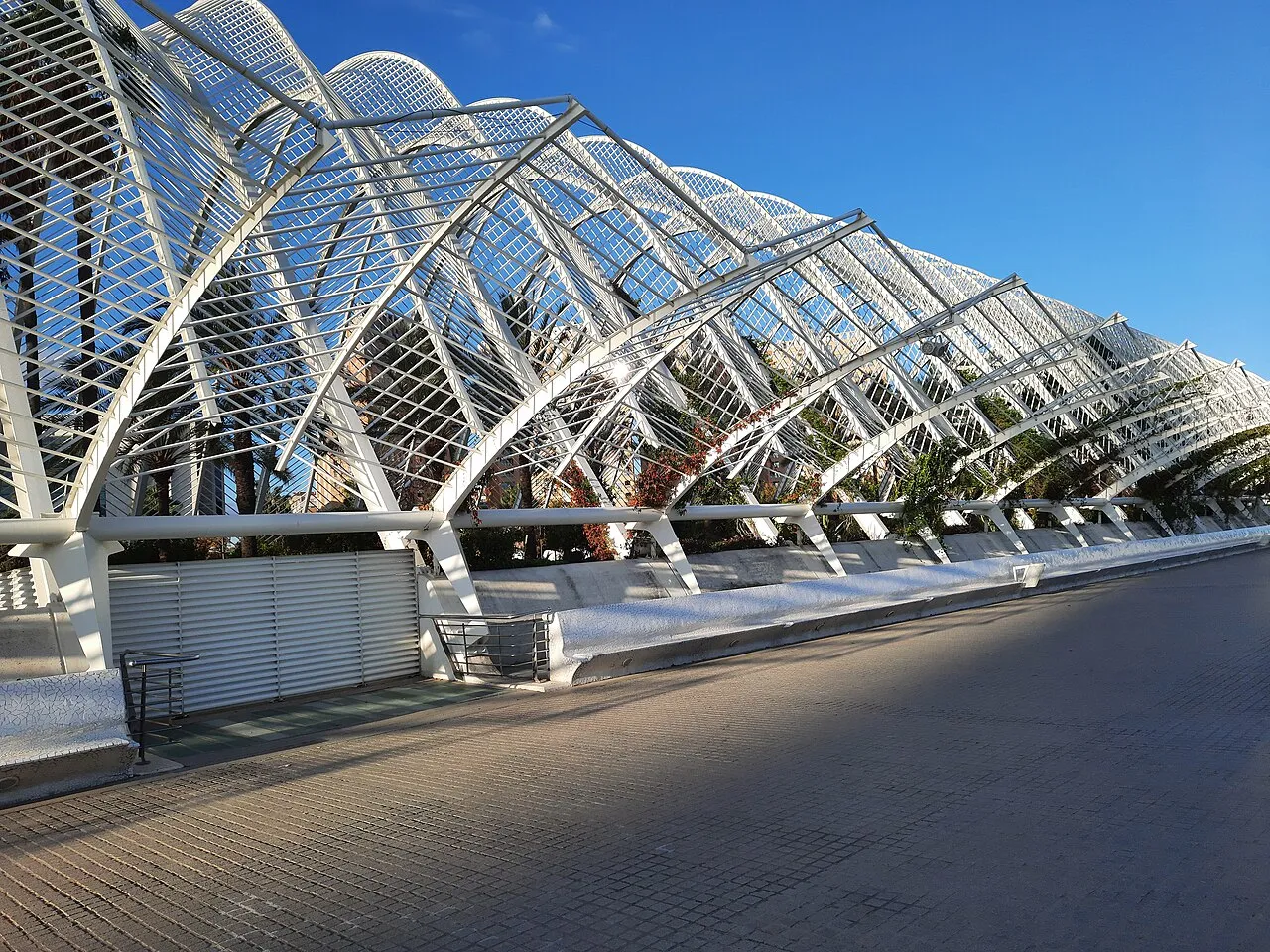 The Umbracle