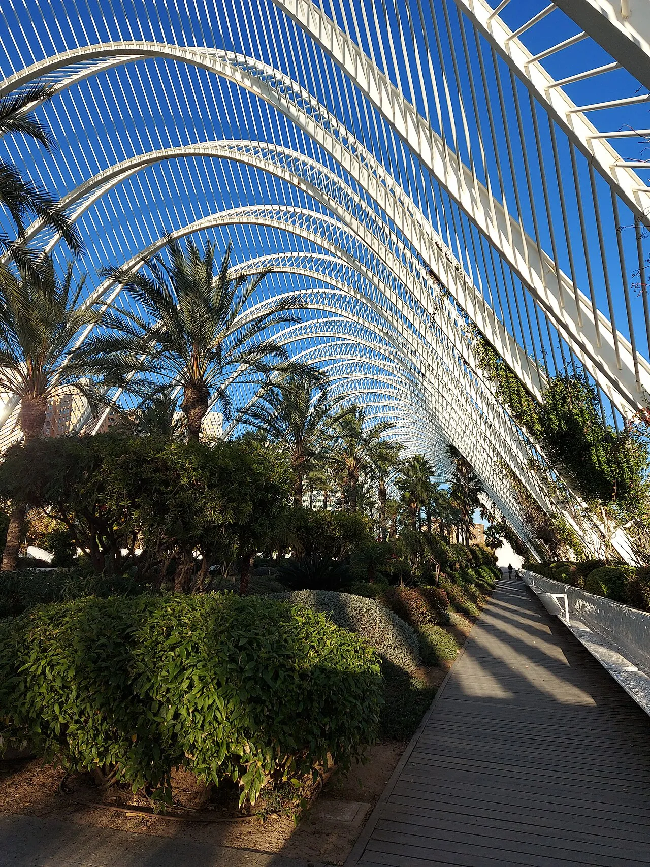 The Umbracle