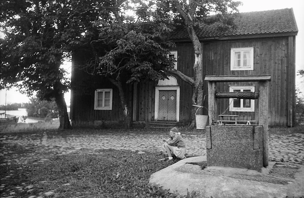 Pataholm
