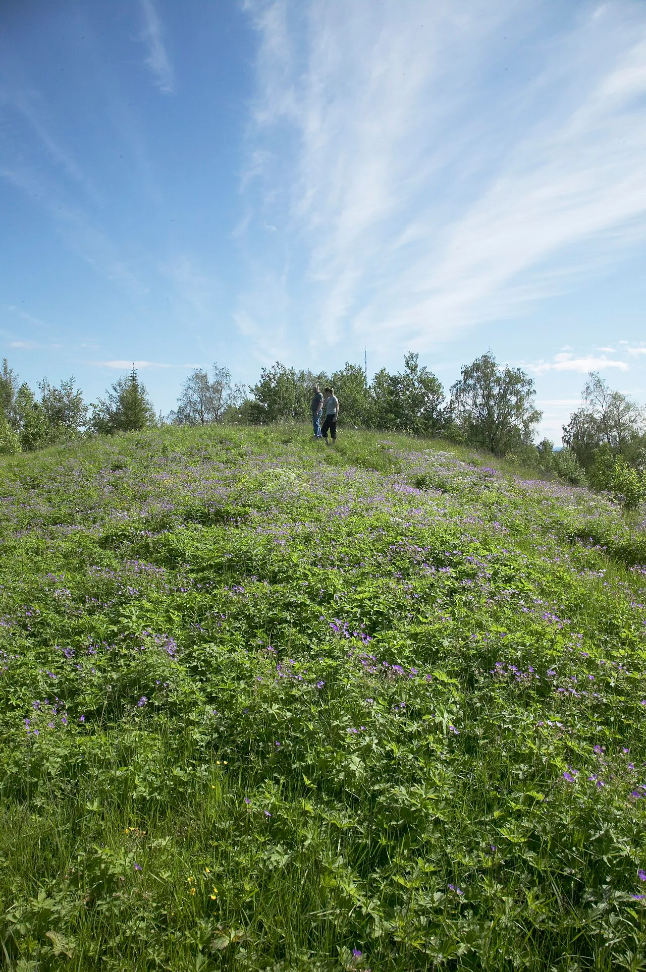 Perävaara