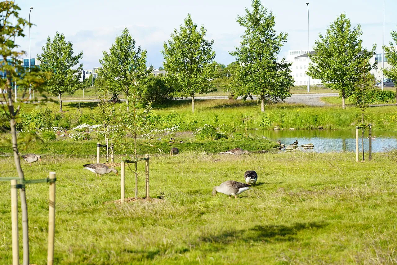 Pavilion Park