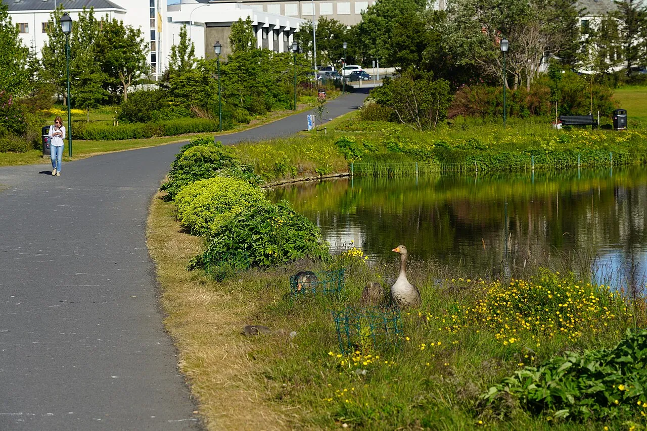 Pavilion Park