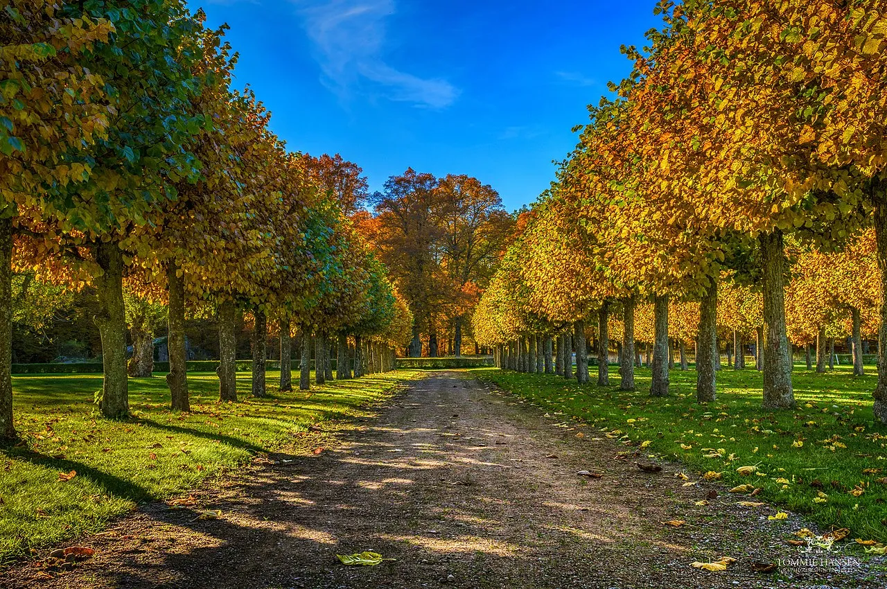 Ulriksdal Palace Park