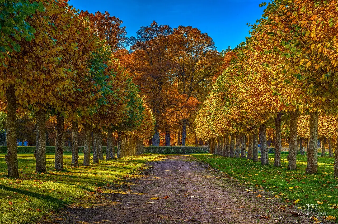 Ulriksdal Palace Park
