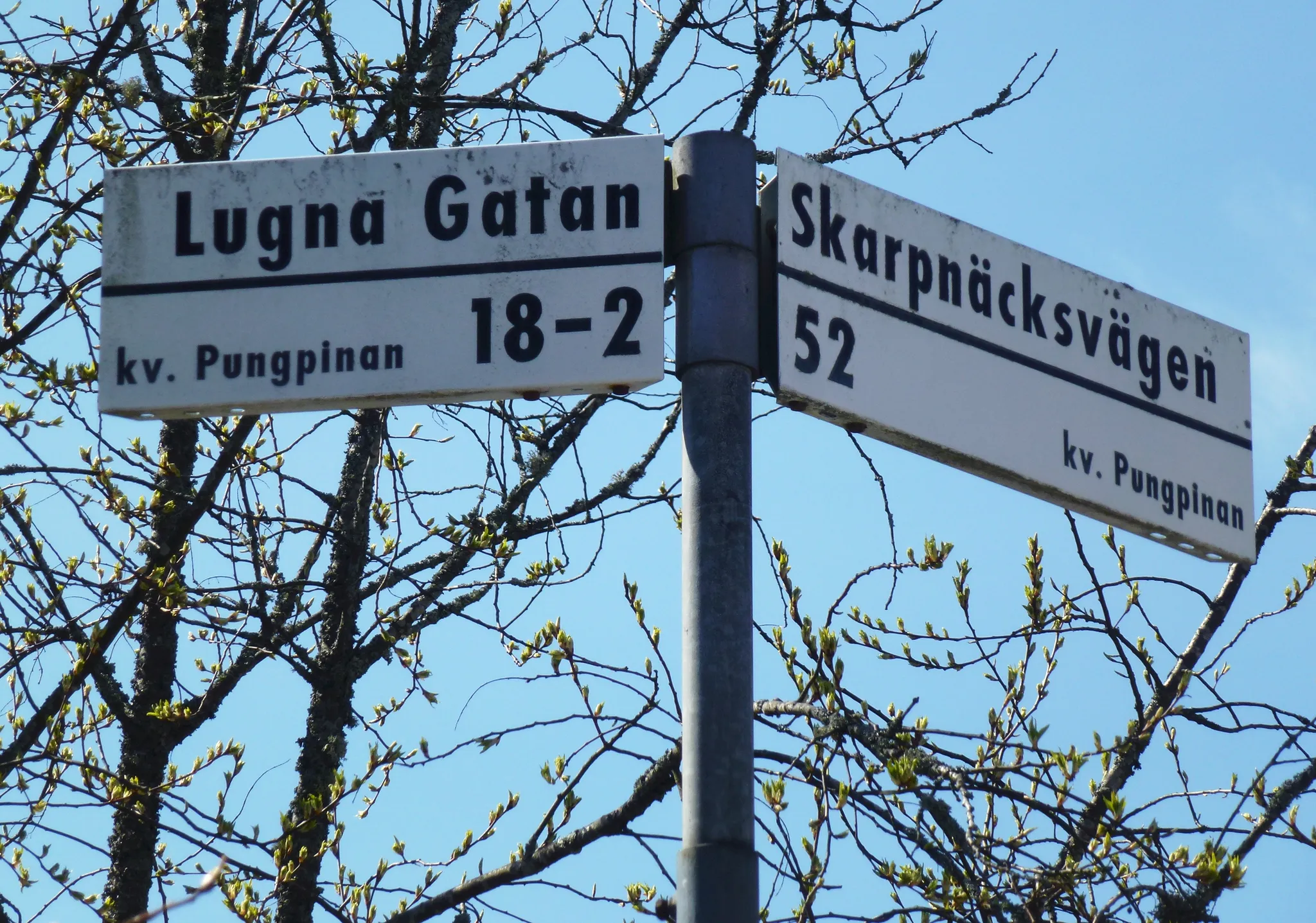 Pungpinan