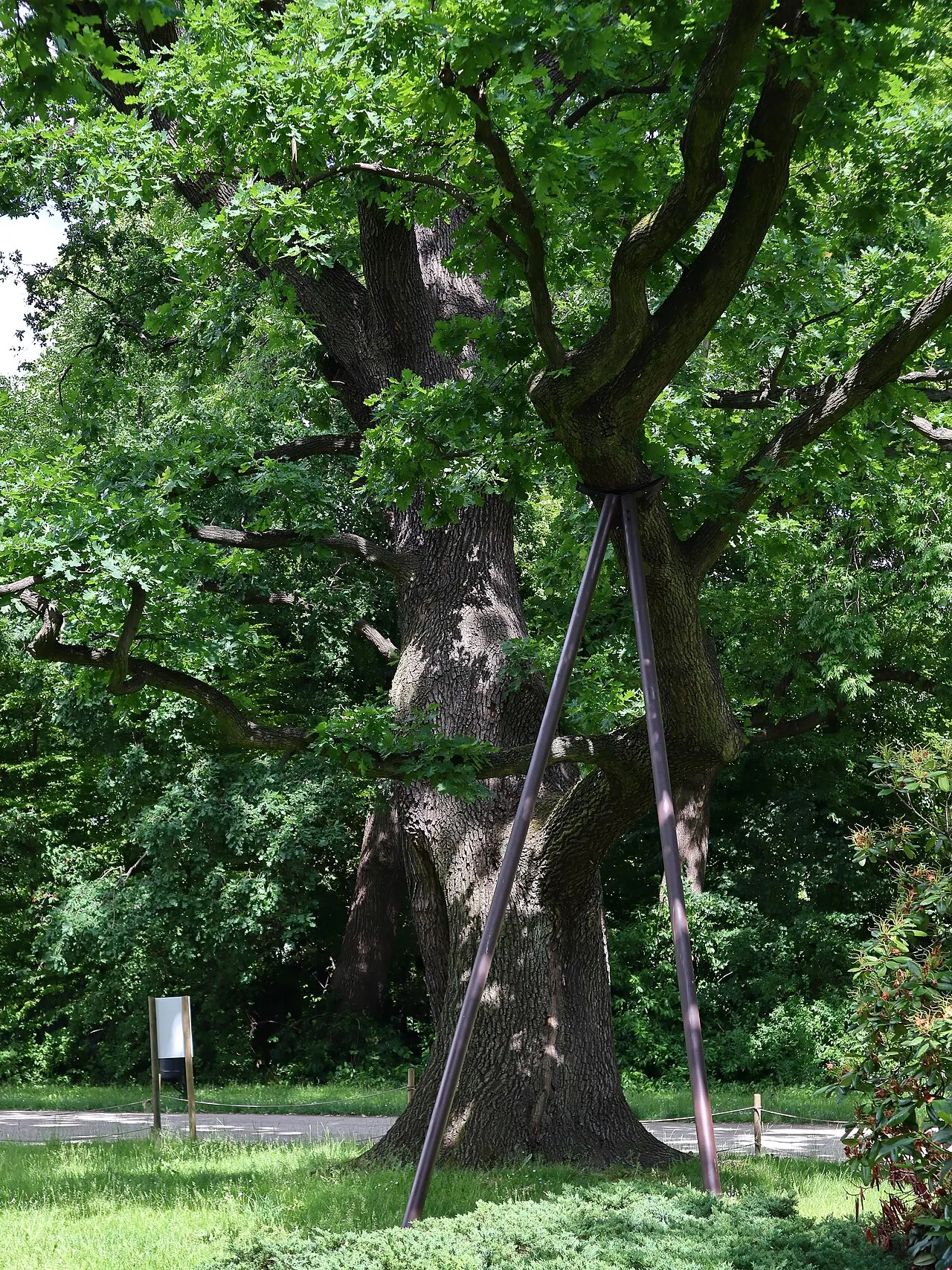 Ujazdów Park