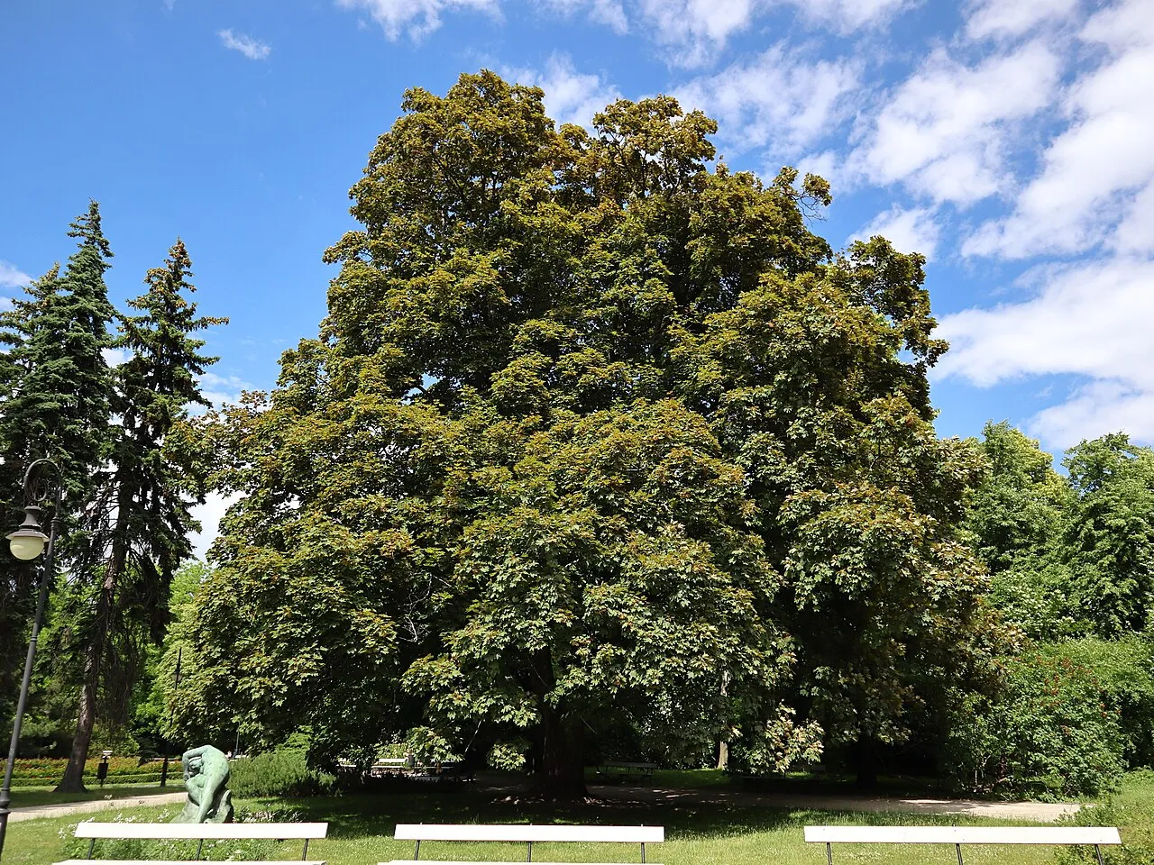 Ujazdów Park