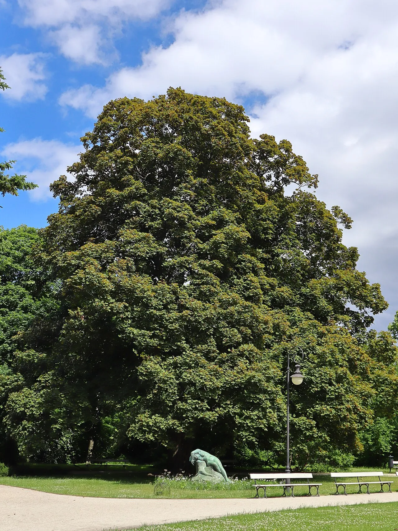 Ujazdów Park