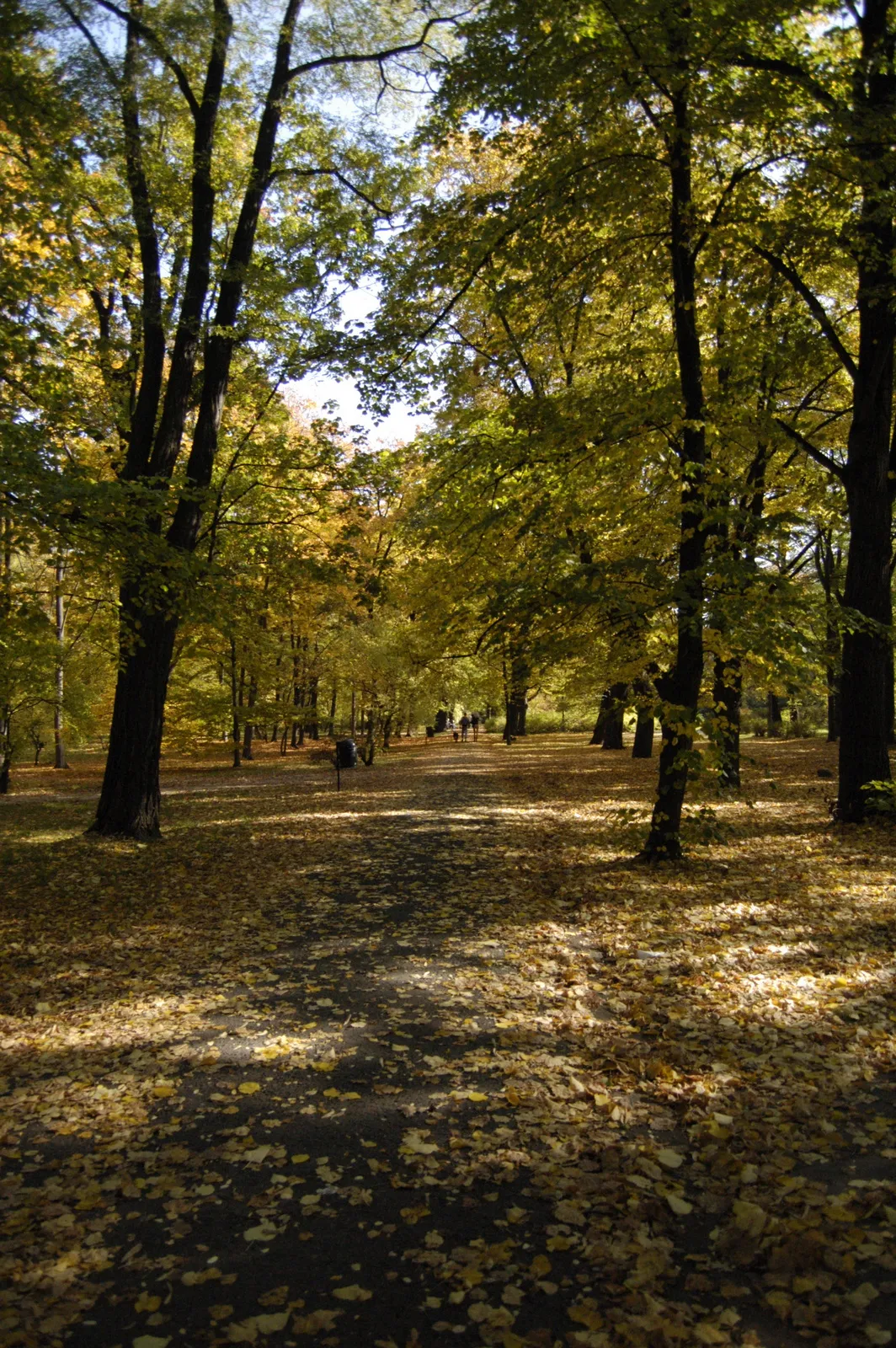 Szczytnicki Park