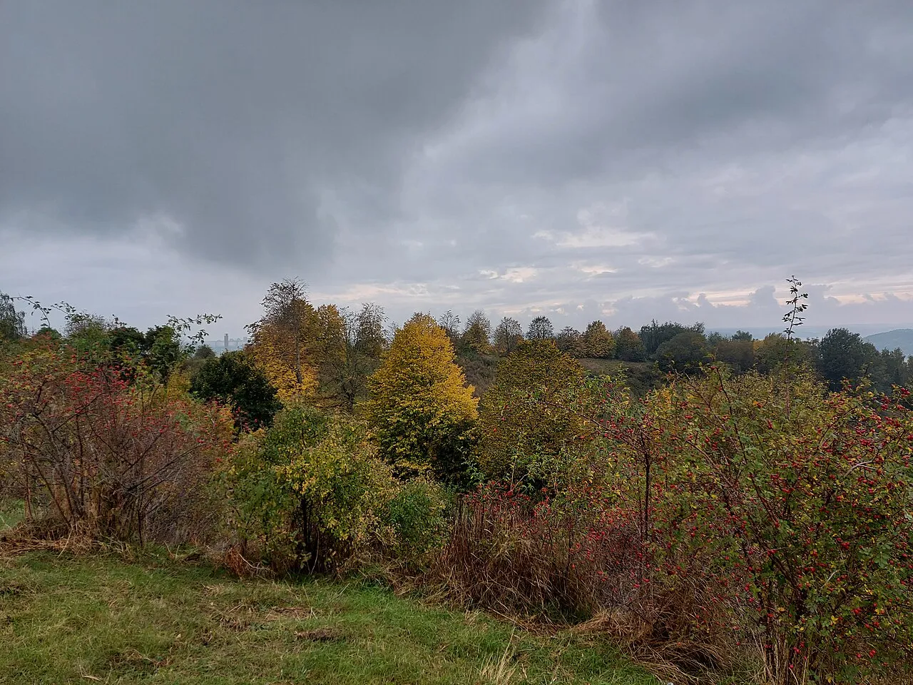 Vårbergstoppen