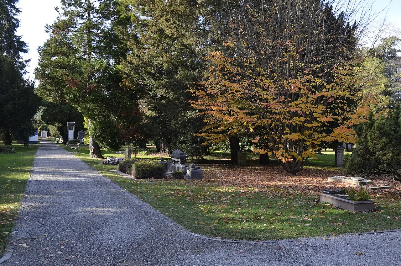 Cimetière des Rois