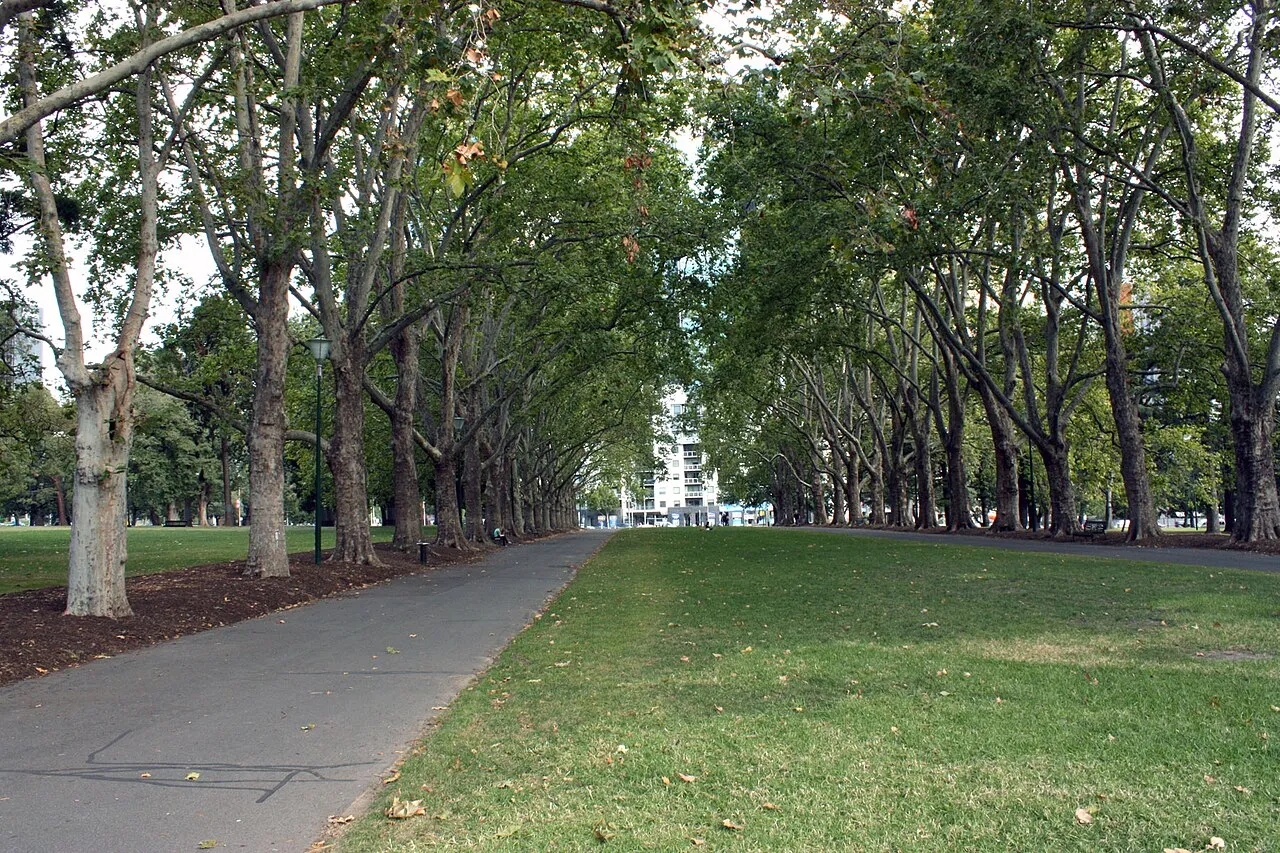 Carlton Gardens