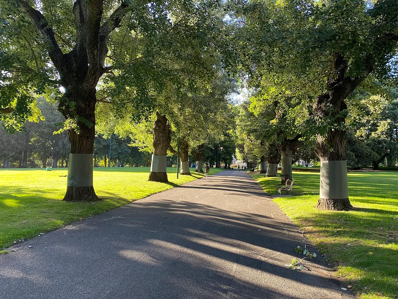 Carlton Gardens