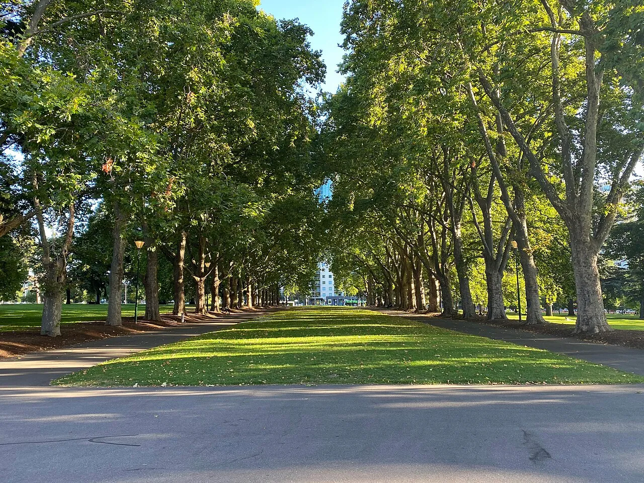 Carlton Gardens