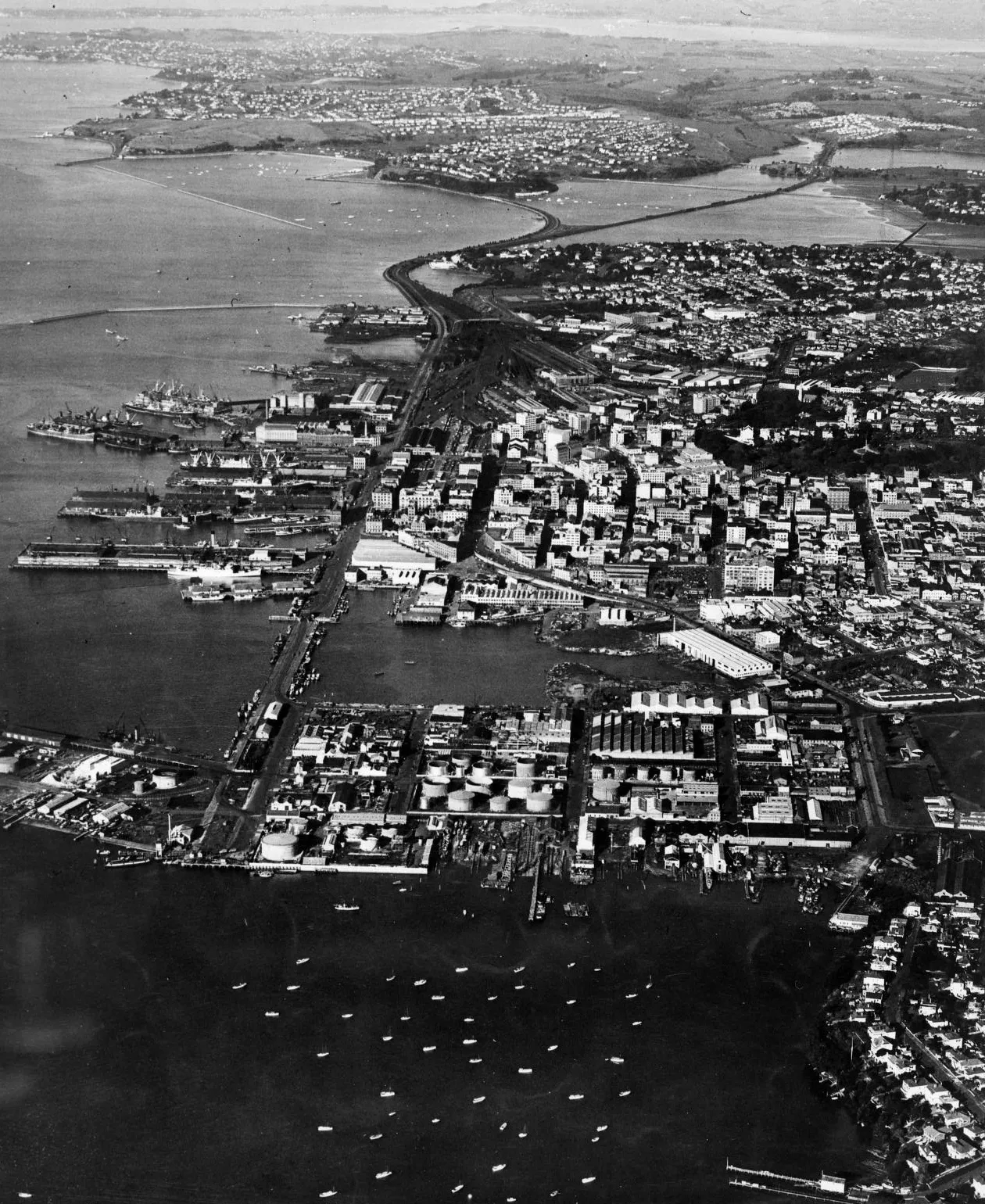 Tāmaki Drive Waterfront