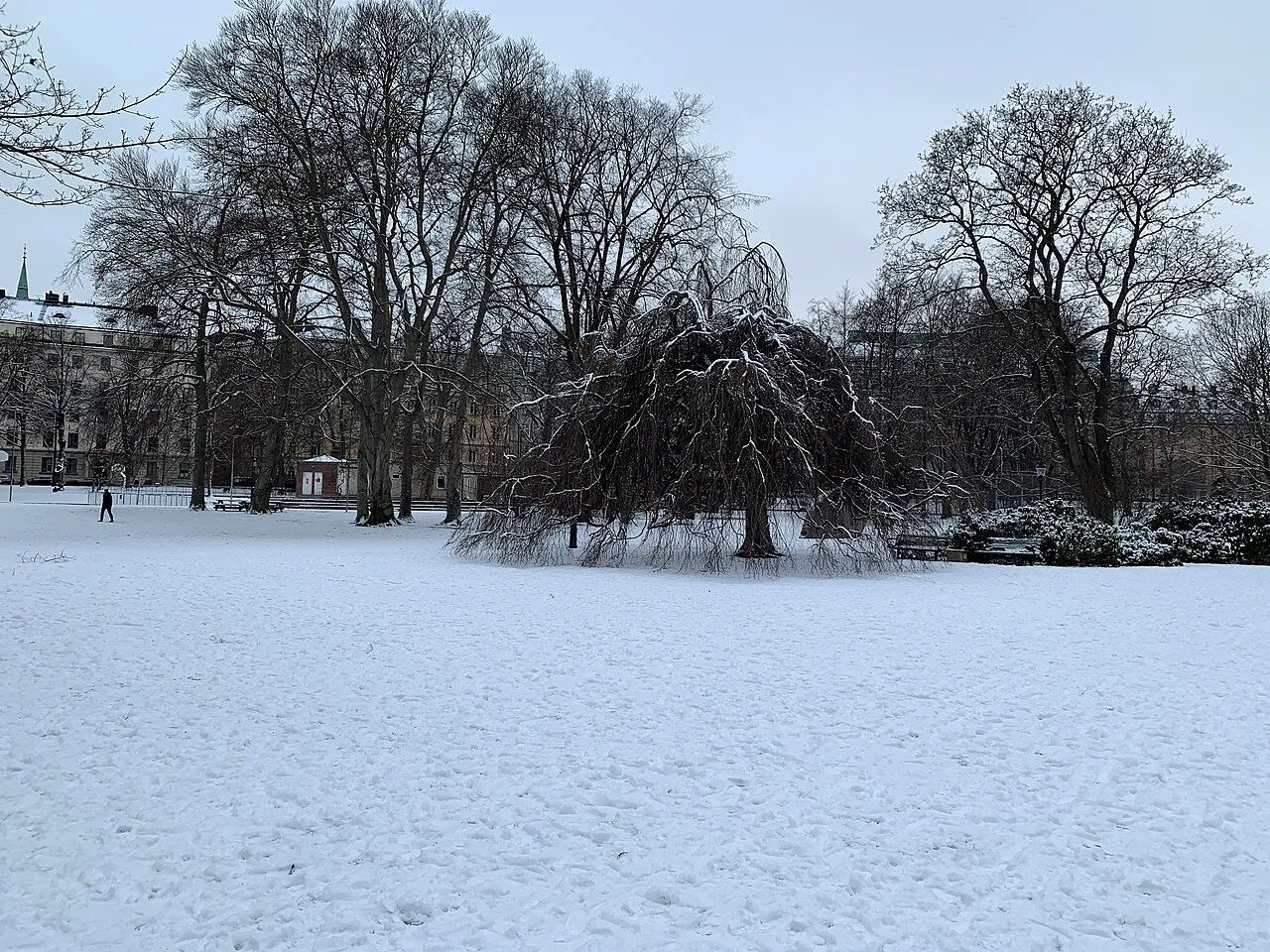 Humlegården