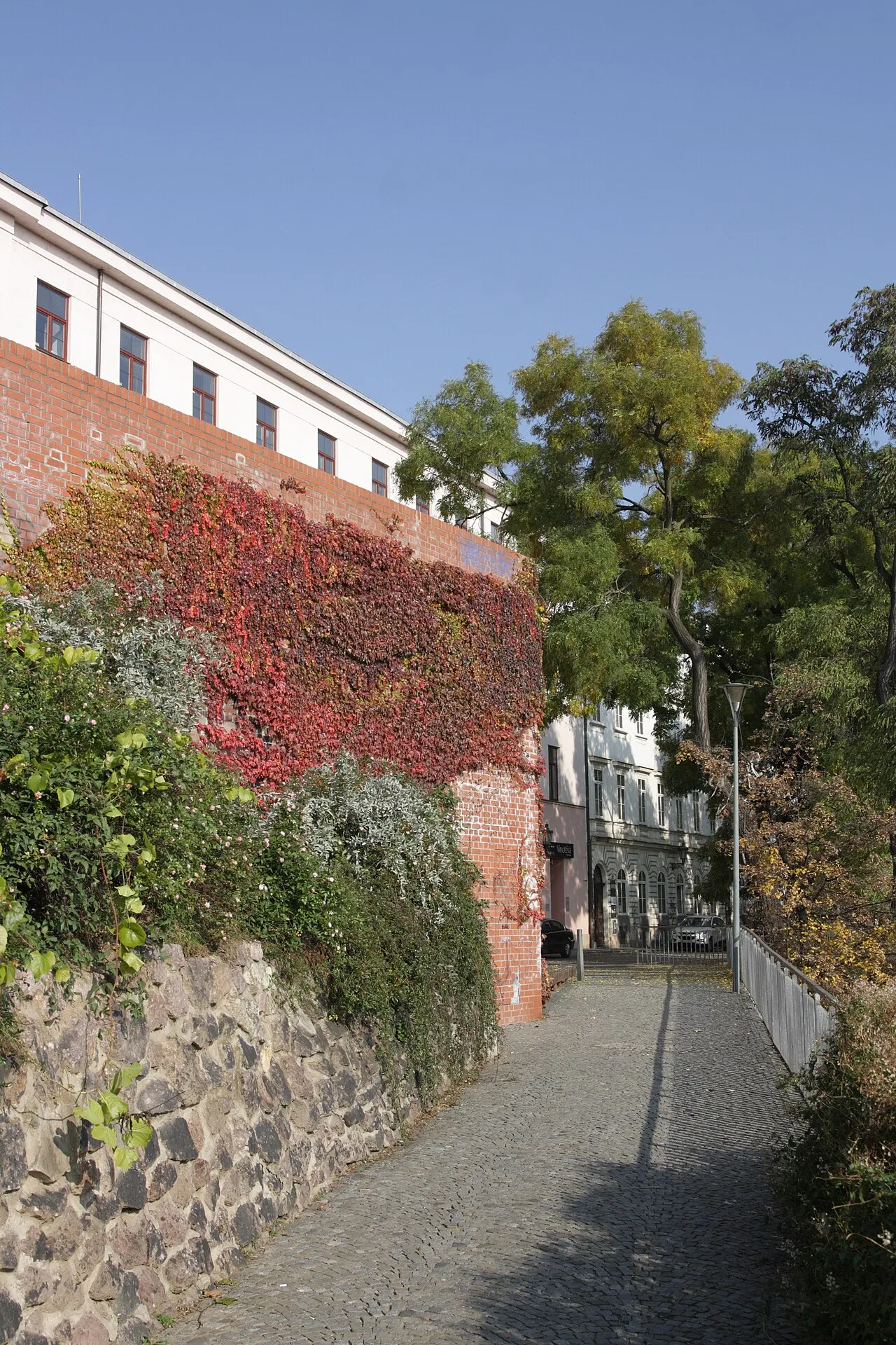 Denis Gardens