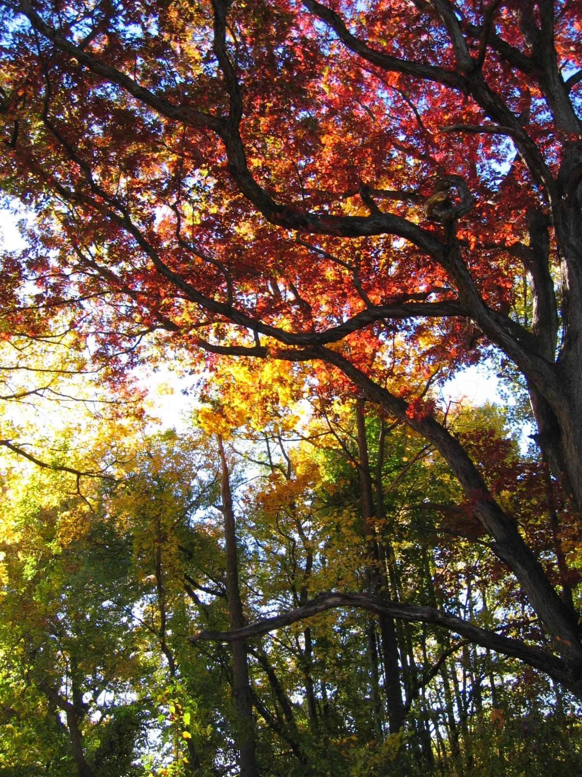 Fairmount Park