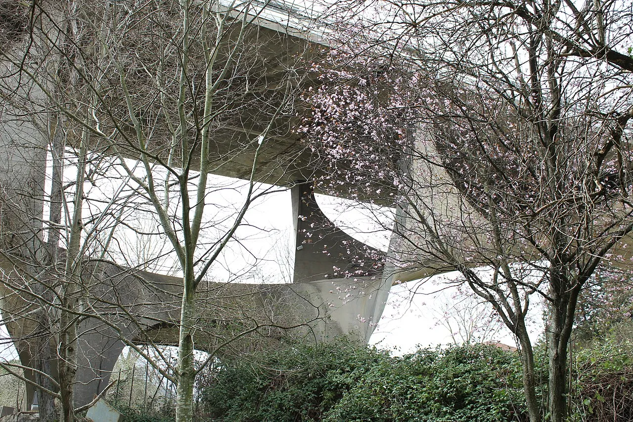 Ponte Musmeci