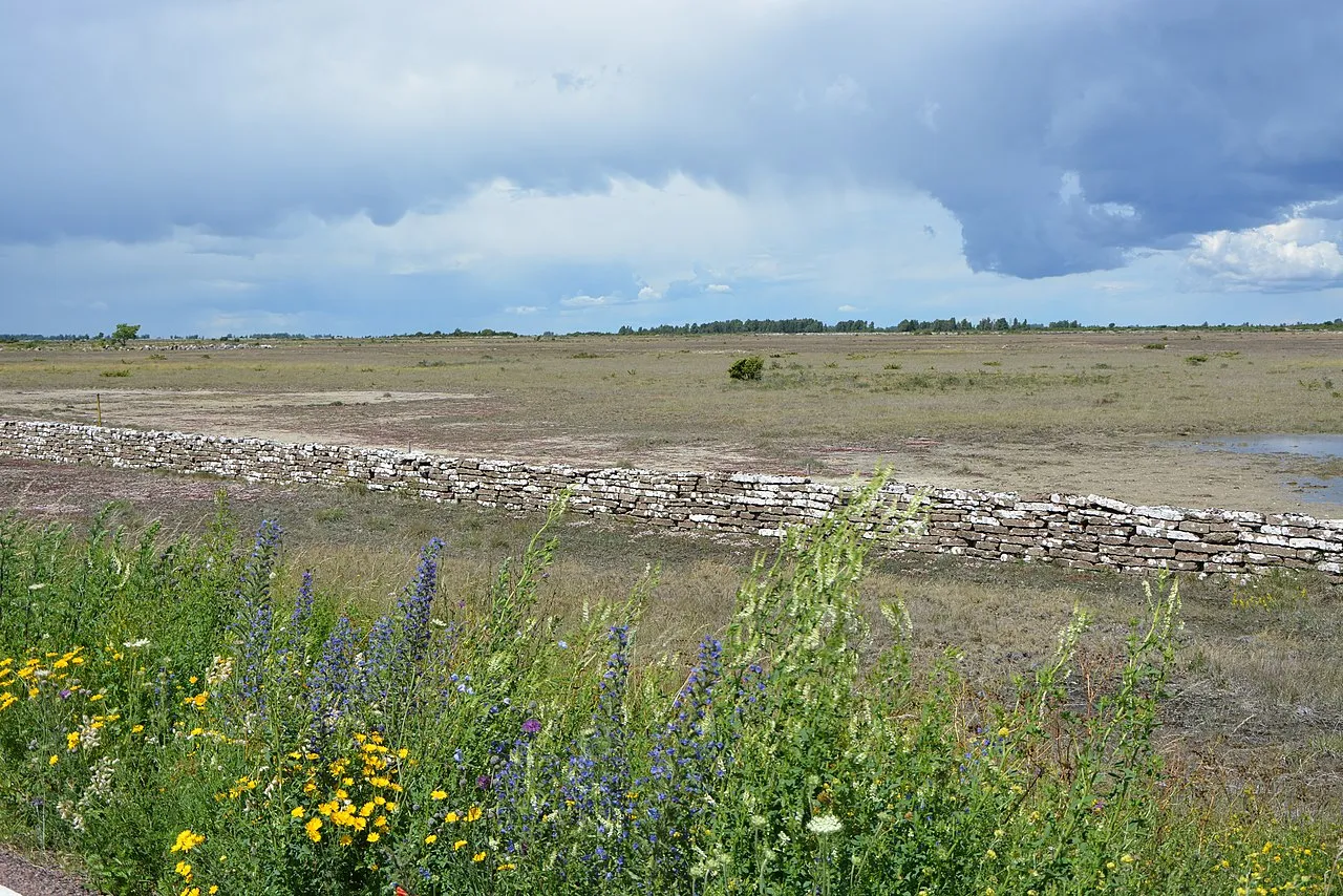 Stora alvaret