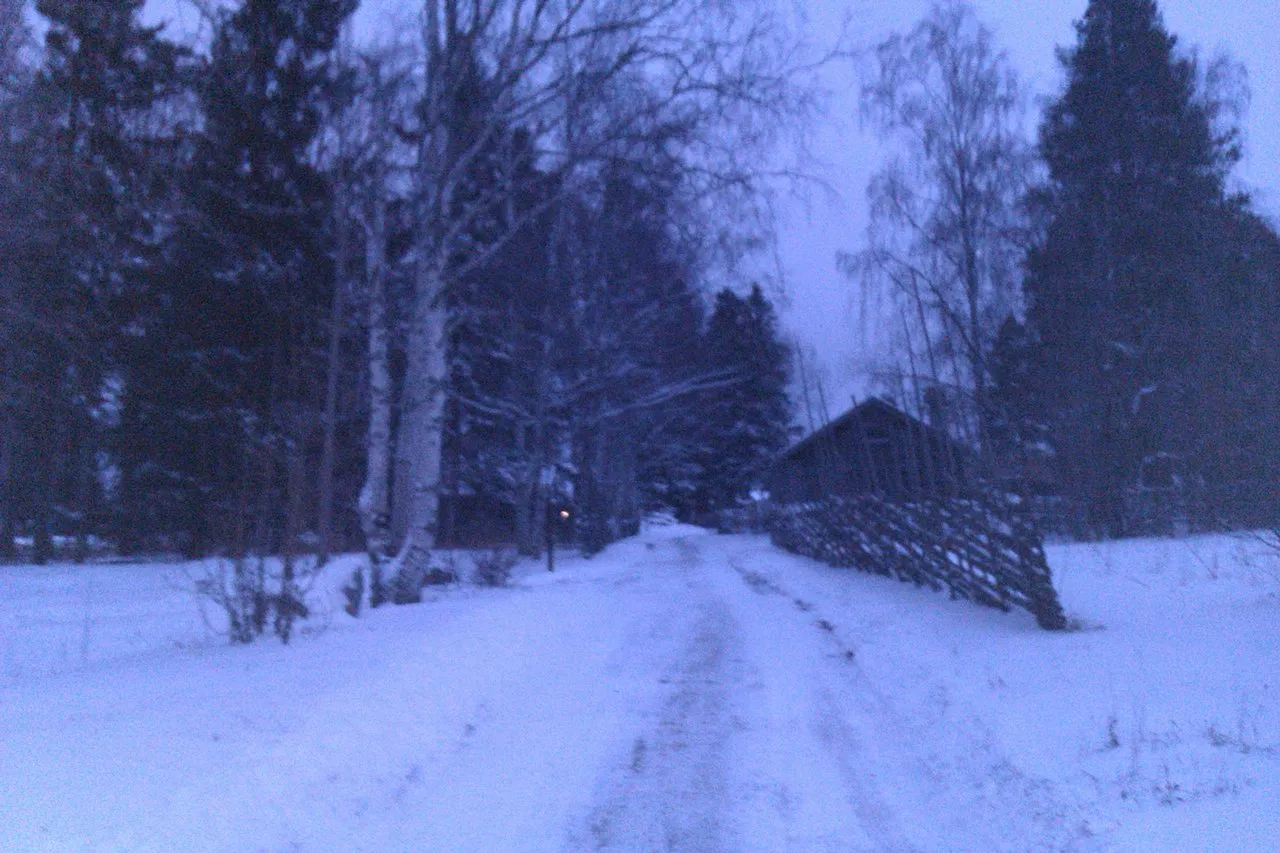 Jamtli