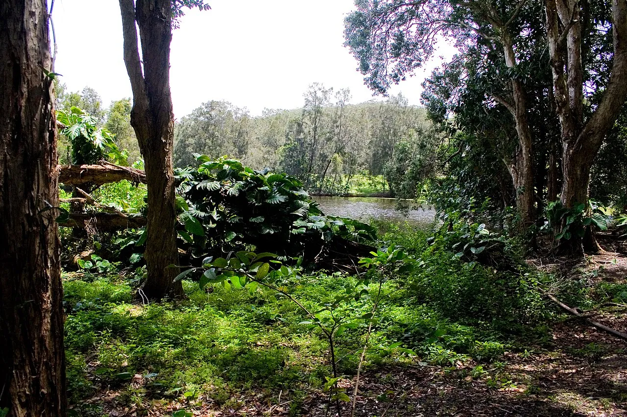 Currumbin Wildlife Sanctuary Entry Pavilion